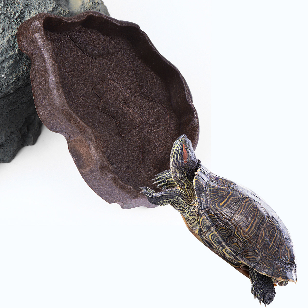 Water Dish Reptile - ชามอาหารเรซินสำหรับสัตว์เลื้อยคลาน ขนาดเล็ก กันลื่น สำหรับเลี้ยงกิ้งก่า เต่า แมงมุม