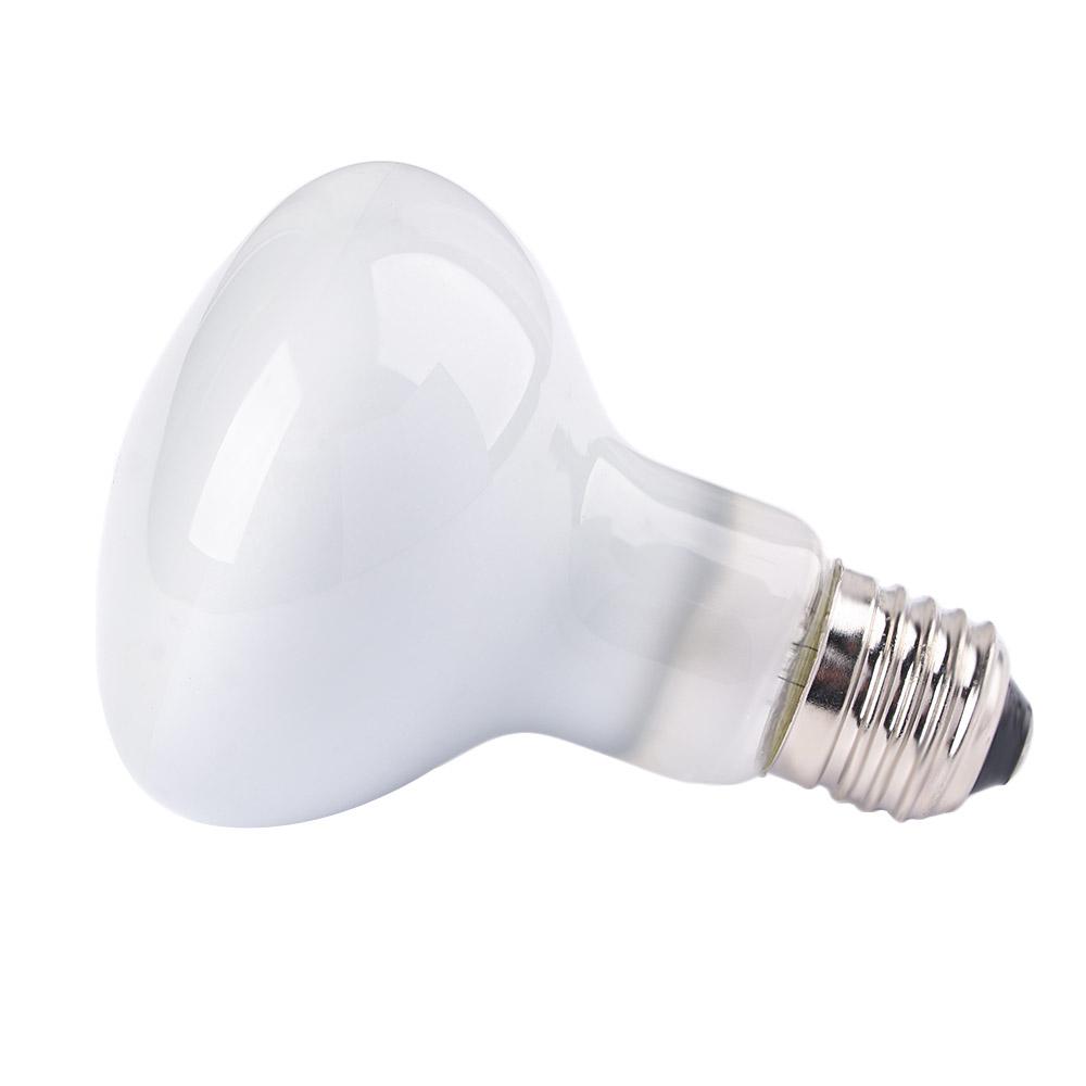 Basking Bulb Halogen - เครื่องควบคุมอุณหภูมิสัตว์ครึ่งบกครึ่งน้ำ หลอดไฟฮาโลเจน แสง UVA ไฟให้ความอบอุ่นสำหรับสัตว์เลื้อยคลาน