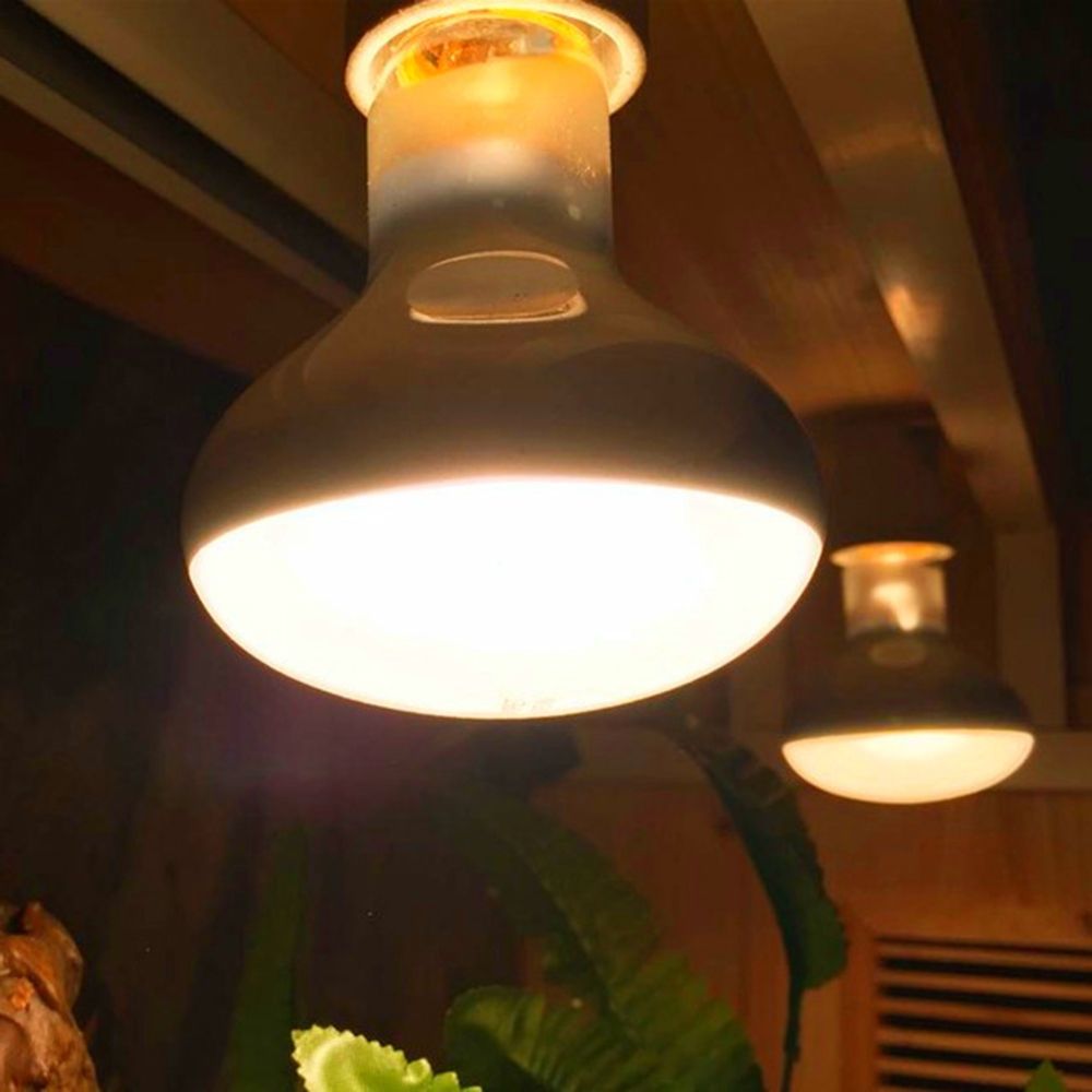เครื่องควบคุมอุณหภูมิสัตว์ครึ่ - Basking Bulb Halogen บทวิจารณ์และราคา