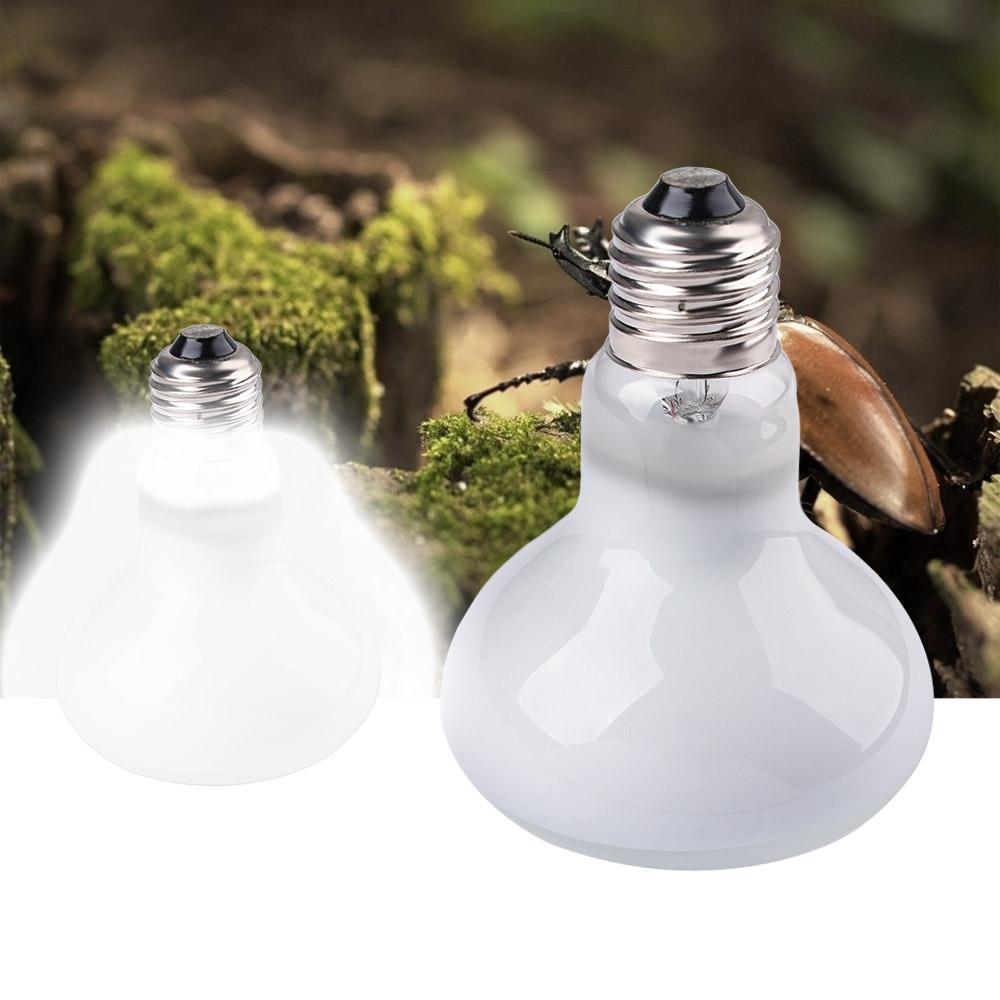 เครื่องควบคุมอุณหภูมิสัตว์ครึ่ - Basking Bulb Halogen บทวิจารณ์และราคา