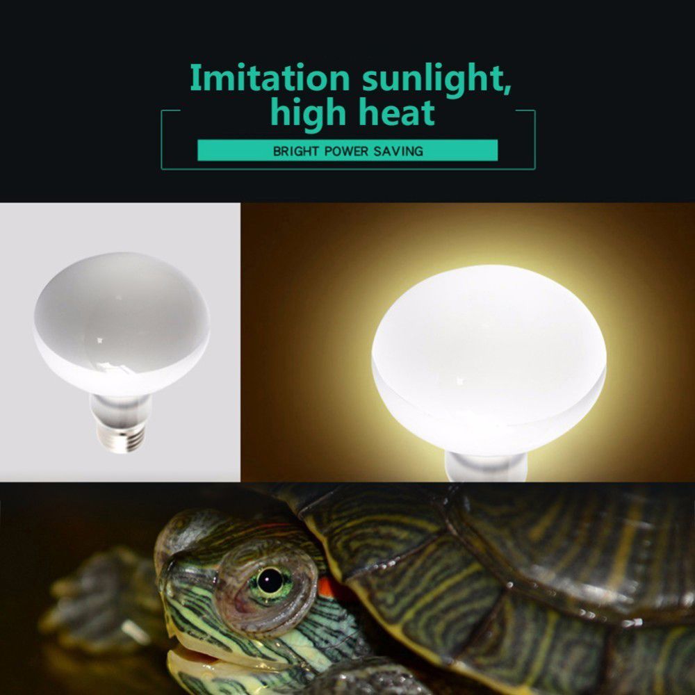 เครื่องควบคุมอุณหภูมิสัตว์ครึ่ - Basking Bulb Halogen บทวิจารณ์และราคา