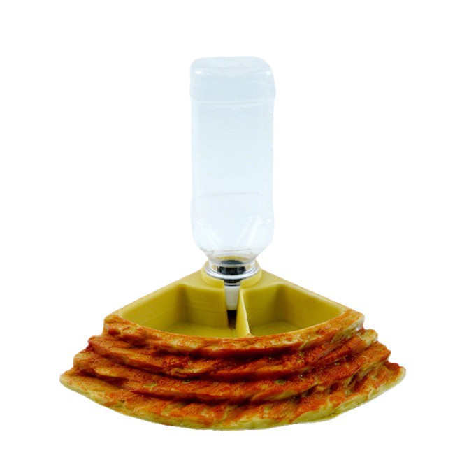 ถ้วยน้ำและที่ให้อาหารสัตว์เลื้ - Water Dish Reptile บทวิจารณ์และราคา