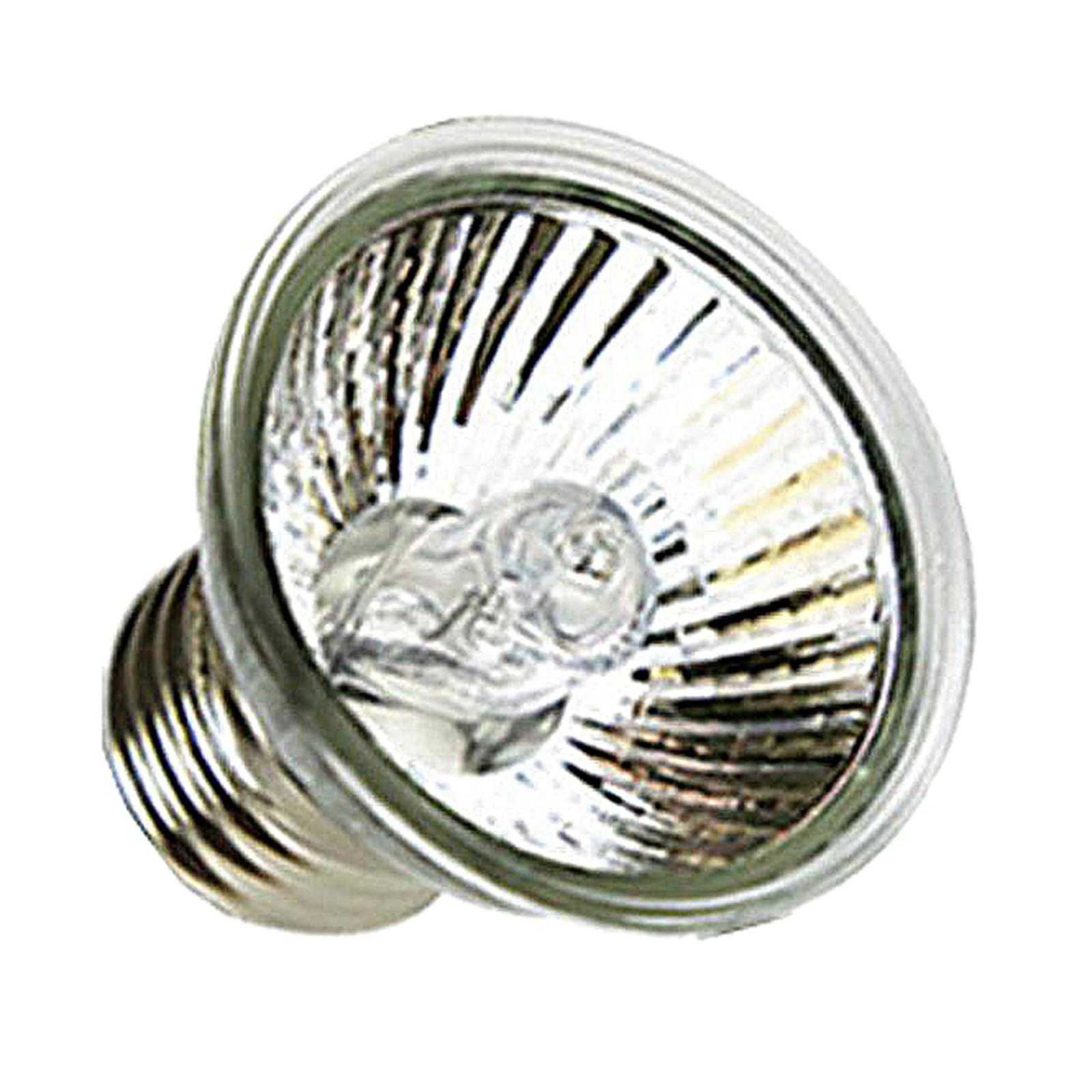 หลอดไฟฮาโลเจนให้ความร้อนสำหรับ - Basking Bulb Halogen บทวิจารณ์และราคา