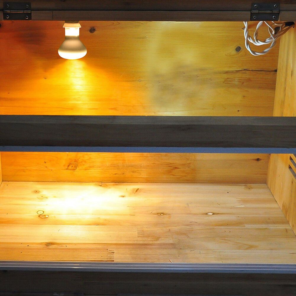 หลอดไฟฮาโลเจนสำหรับสัตว์ครึ่งบ - Basking Bulb Halogen บทวิจารณ์และราคา
