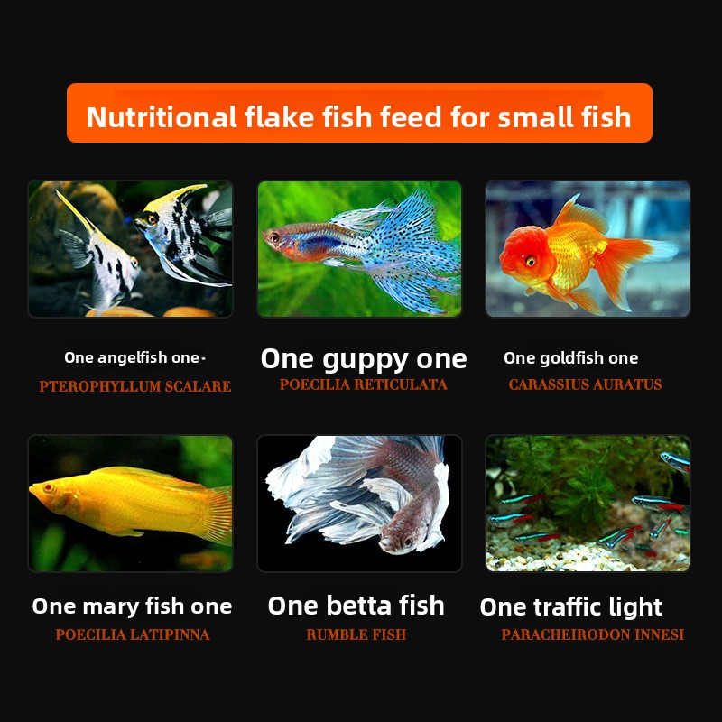 อาหารปลาสไปรูลิน่าแบบเกล็ด ตรา - Tetra Food Betta Flakes บทวิจารณ์และราคา